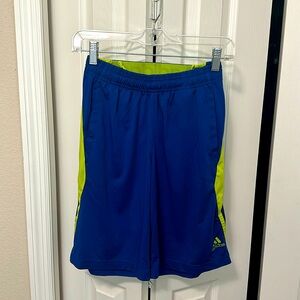Adidas | blue and green gym shorts